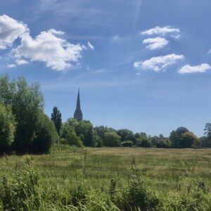 vVew over the water meadows to Salisbury cathedral