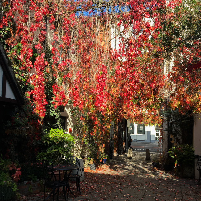 Courtyard of the Red Lion with Virginia creeper