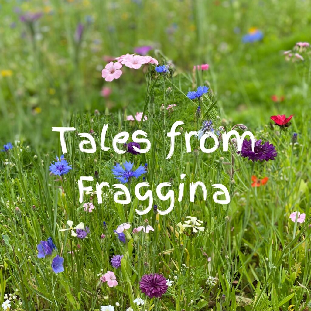 Tales from Fraggina